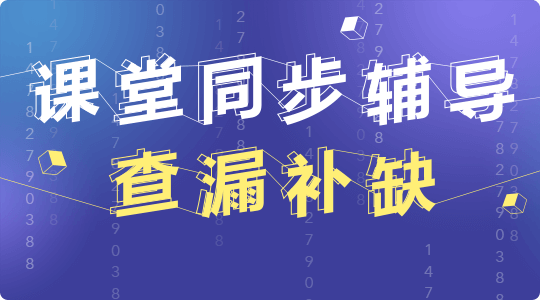 同步辅导 查漏补缺